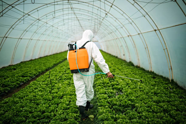Best Affordable Pest Control Services  in Pinson, AL