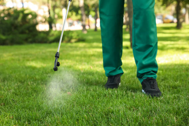 Best Insect Control  in Pinson, AL
