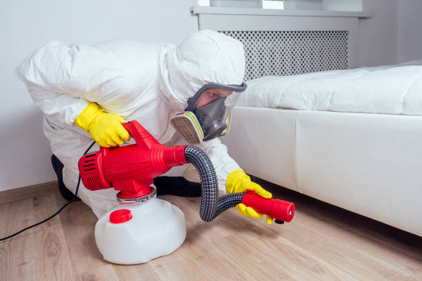 Best Bed Bug Extermination  in Pinson, AL