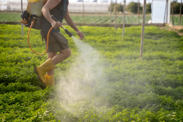 Best Mosquito Control Services  in Pinson, AL