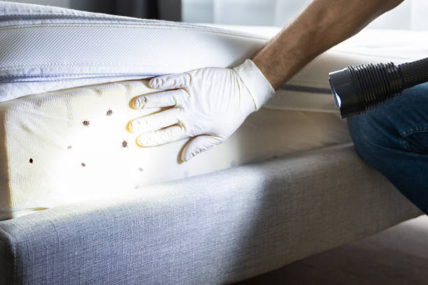 Best Emergency Pest Control  in Pinson, AL