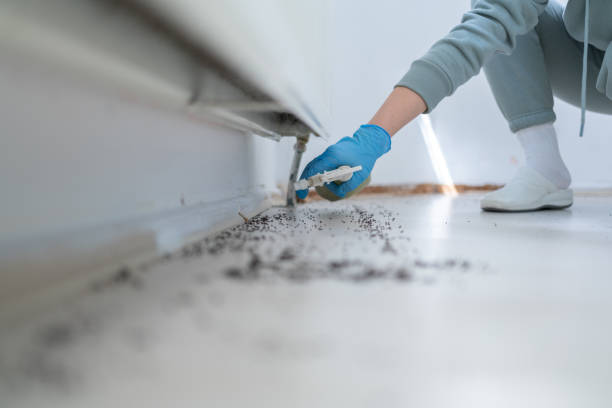 Best Pest Removal Services  in Pinson, AL